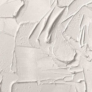 REVIVE & SCULPT
